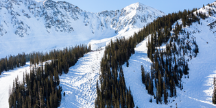  The L'Etoile Guide to Vail
