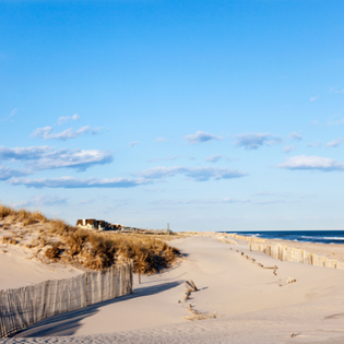 The L’Etoile Guide to the Hamptons